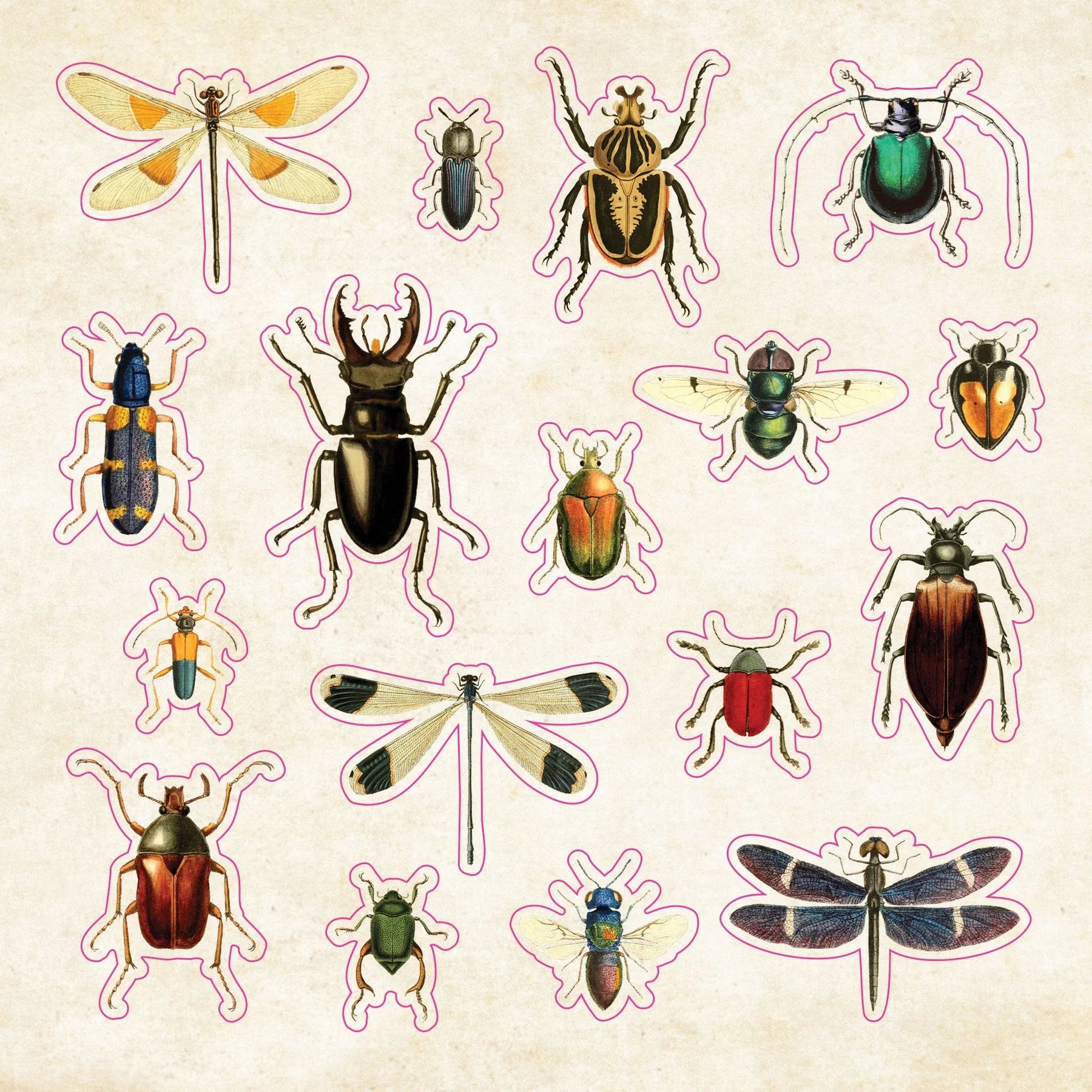 Sticker Book Curiosities by Homeportonline