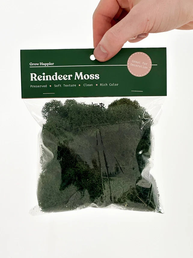 Preserved Reindeer Moss | Moss For Plants and Crafts