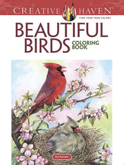 Beautiful Birds