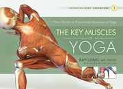 KEY MUSCLES OF YOGA YOUR GUIDE TO FUNC