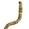 3 Pack Bendable Moss Pole™ THIN by Wild Lark