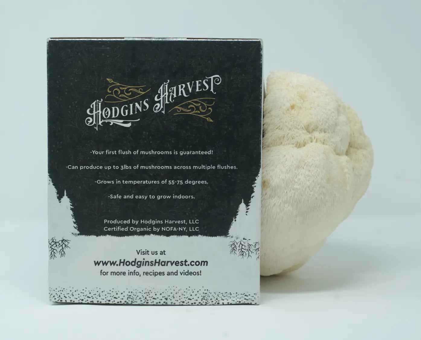 Organic Mushroom Grow-Your-Own Kits