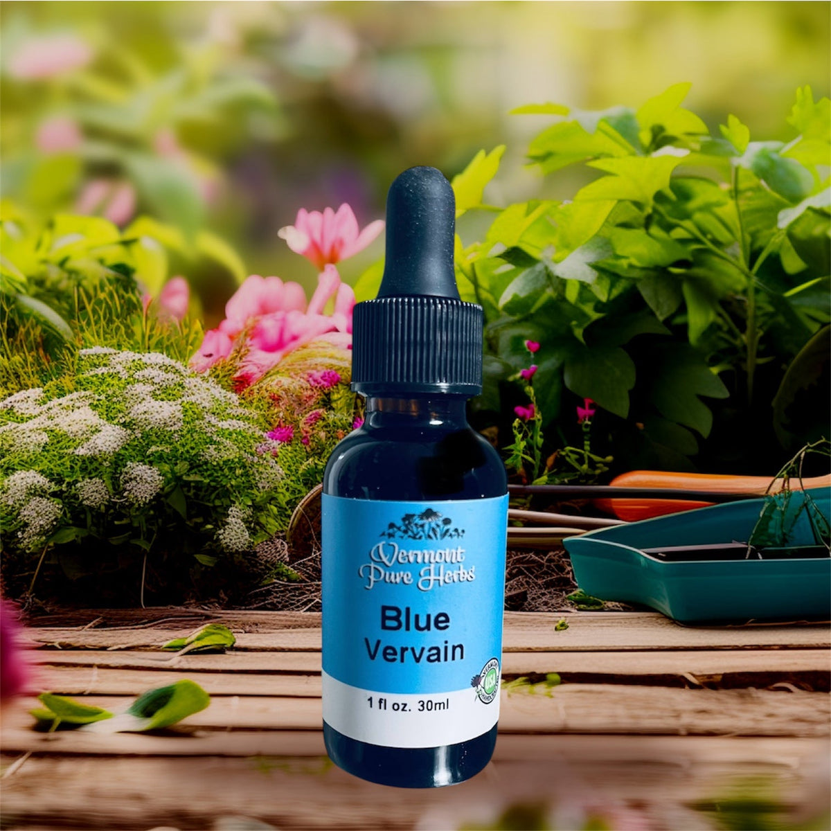 Blue Vervain
