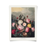 Vintage Botanical Garden Roses Print
