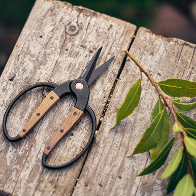 Barebones Garden Scissors