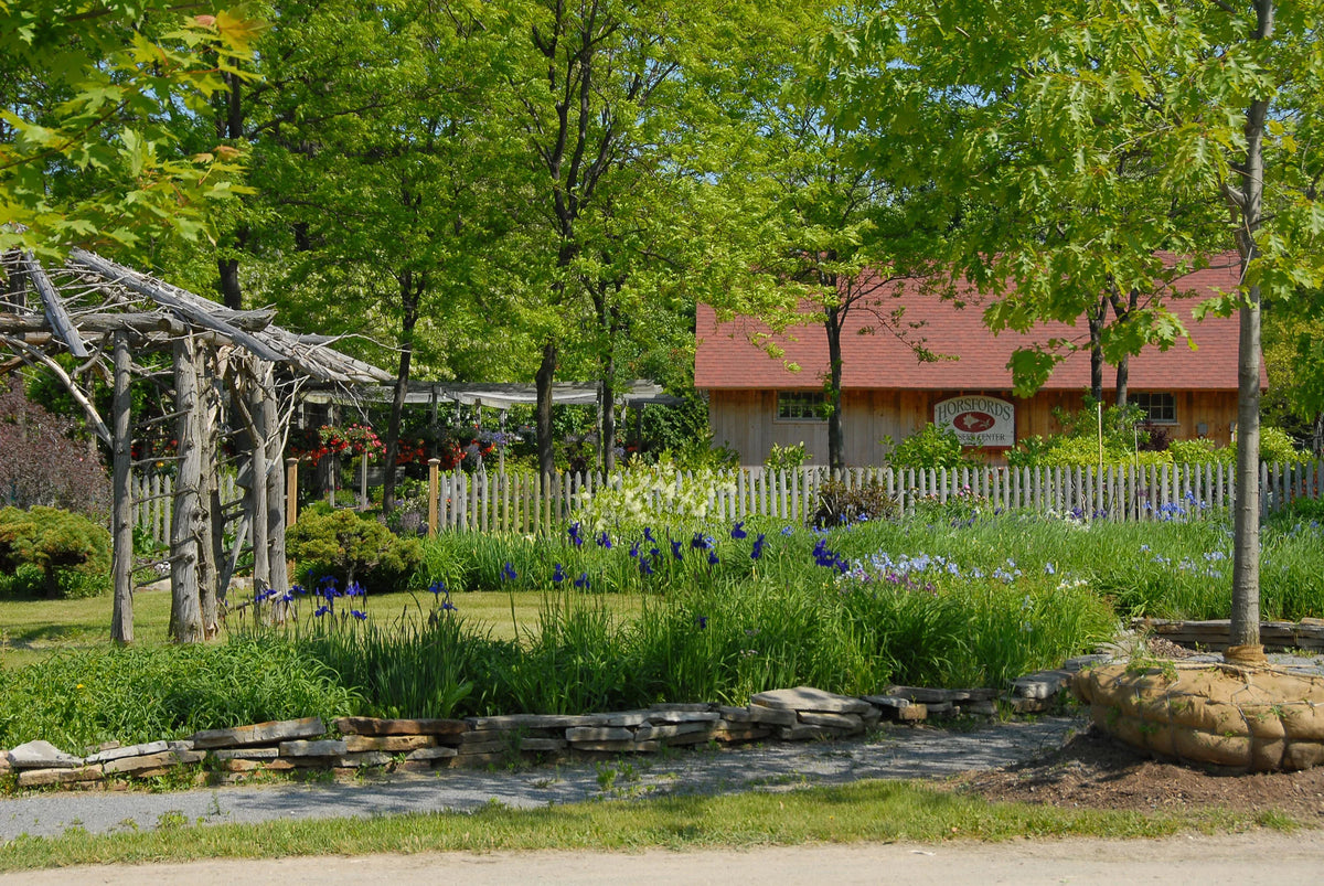 Horsford Gardens and Nursery
