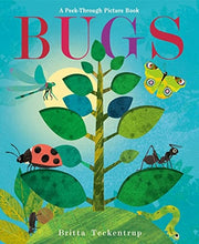Bugs A Peek-Through Picture Book