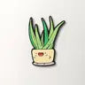 Aloe Vera Magnet
