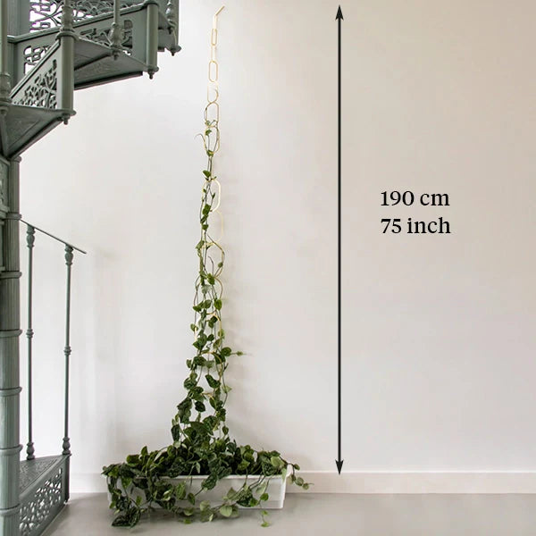 Gold Brass Chain - Plant Support For Climbing Plants