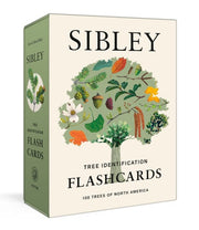 Sibley Tree Identification Flashcards 100 Trees of North America