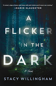 Flicker in the Dark A Novel