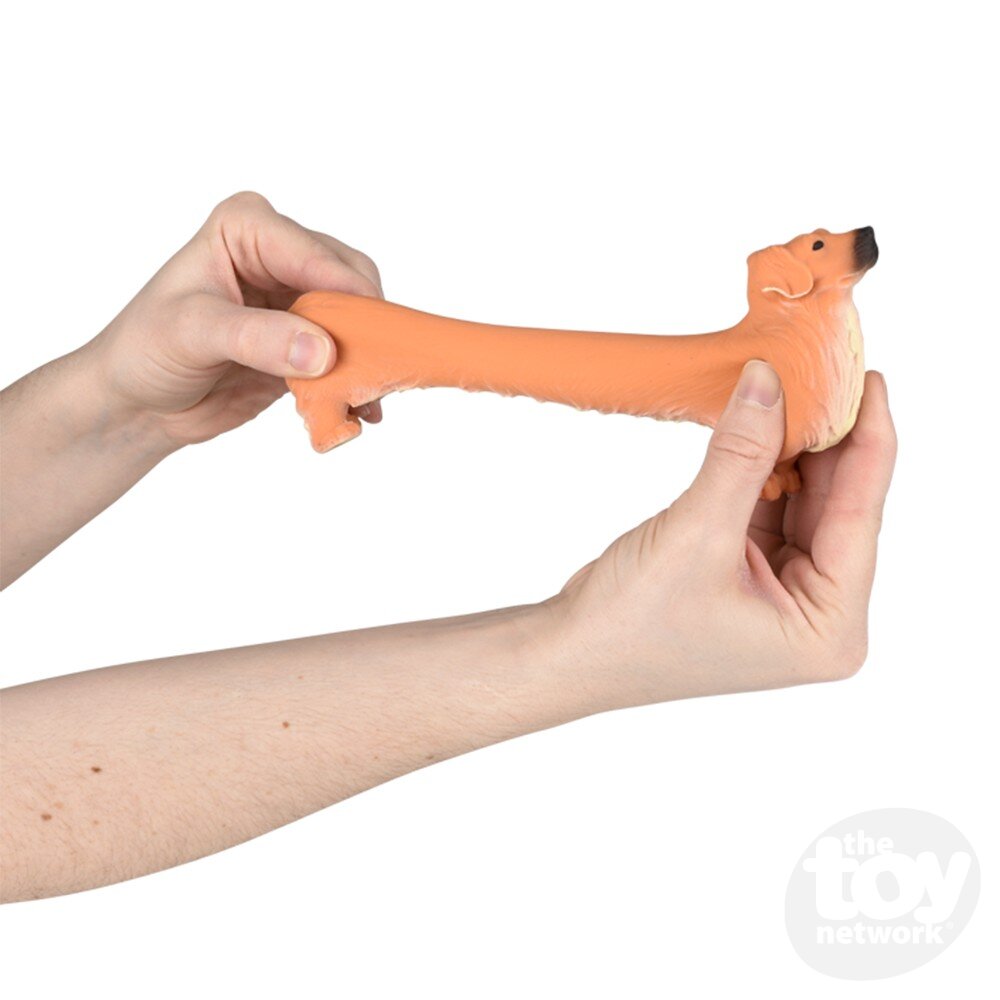 Stretchy Dog Golden Retriever 5.25" (Sold Individually) by Homeportonline