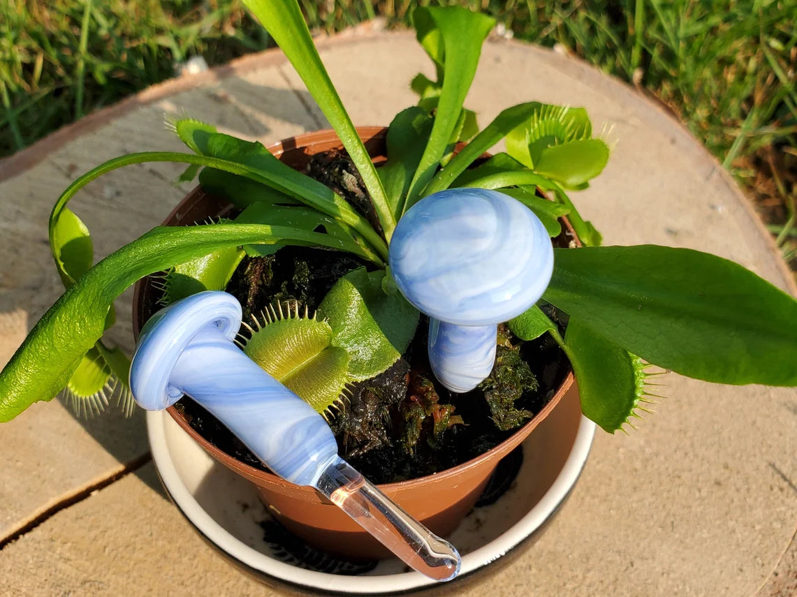 Mushroom Glass Plant Spike