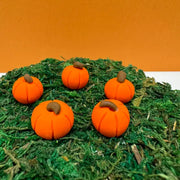 Fairy Garden Miniature Orange Pumpkin Plant Picks