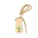 Car Air Fresheners | Fragrance Diffuser