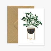 Calathea Plant Card
