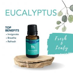 Essential Oil - 15mL - Eucalyptus by Homeportonline