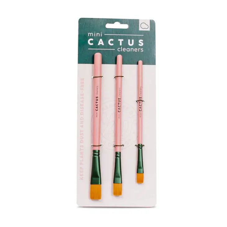 Mini Cactus Cleaner Brushes