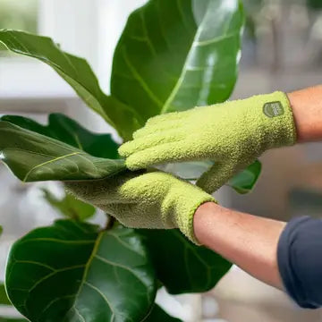 Seed N Sprout Nice Touch Microfiber Plant Dusting Gloves