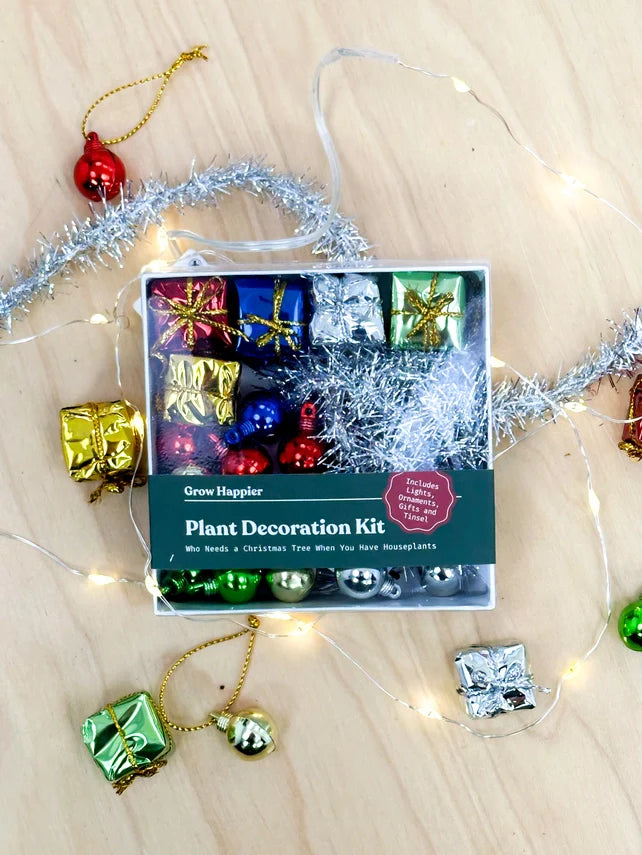House Plant Christmas Tree Decoration Kit