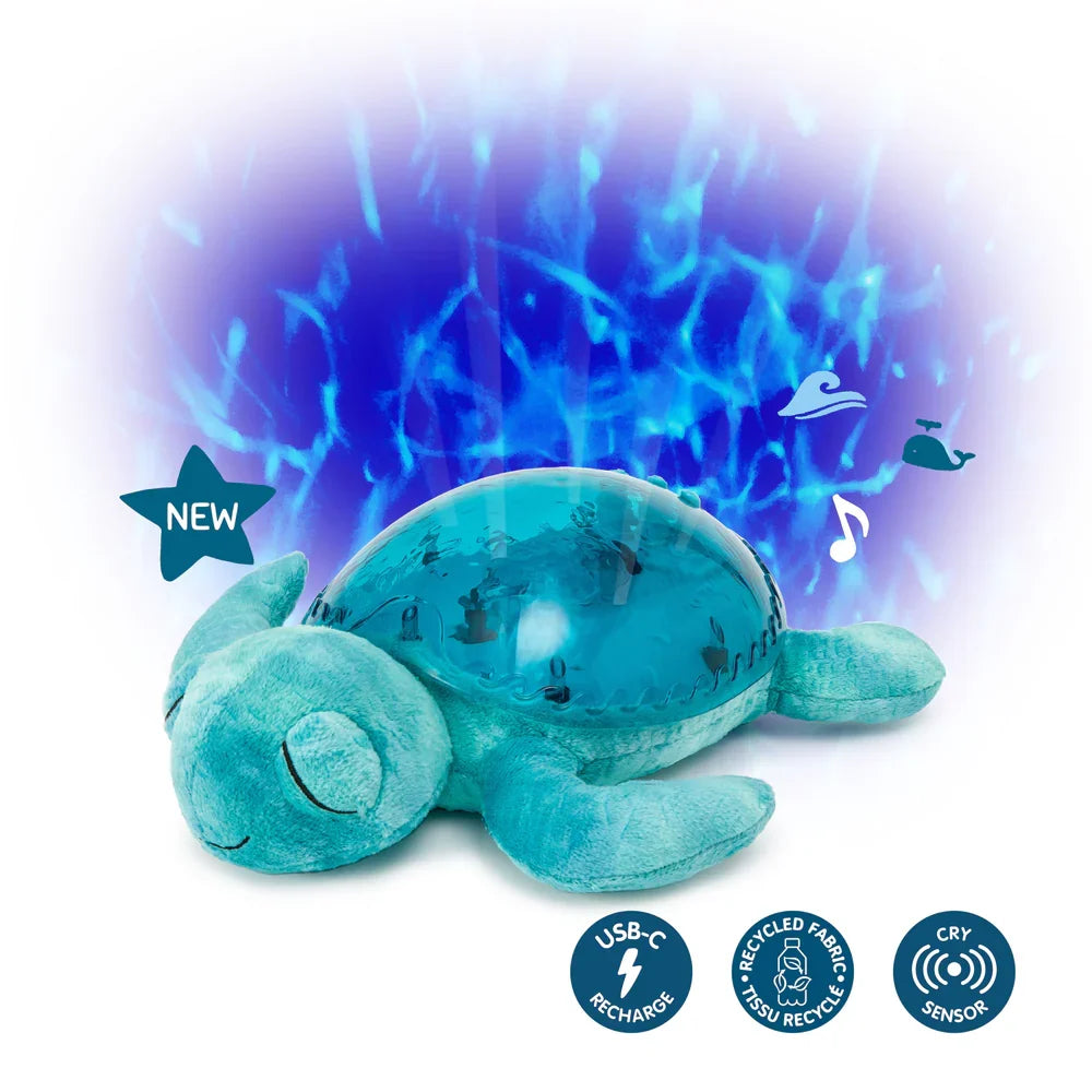Tranquil Turtle | Aqua