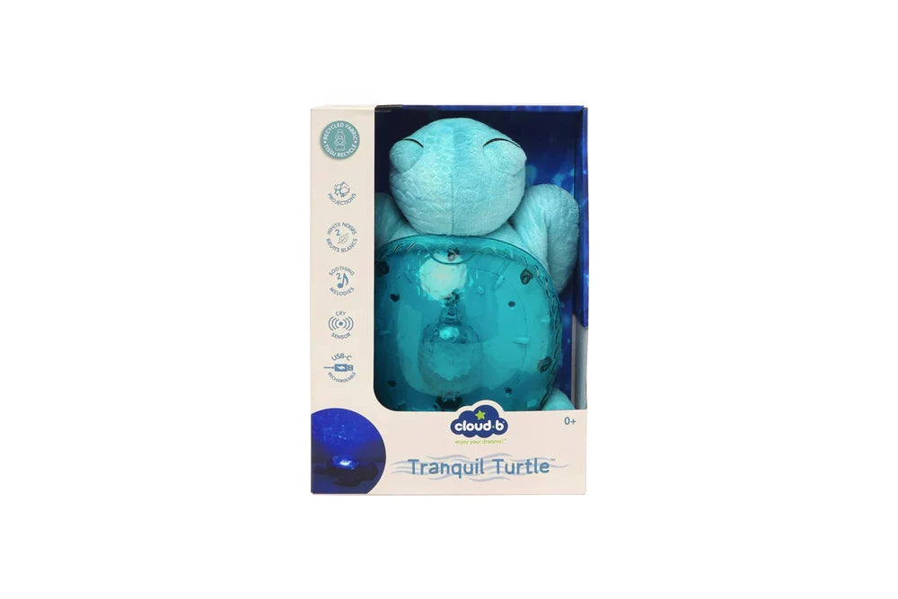 Tranquil Turtle | Aqua