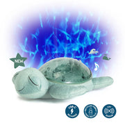 Tranquil Turtle | Green