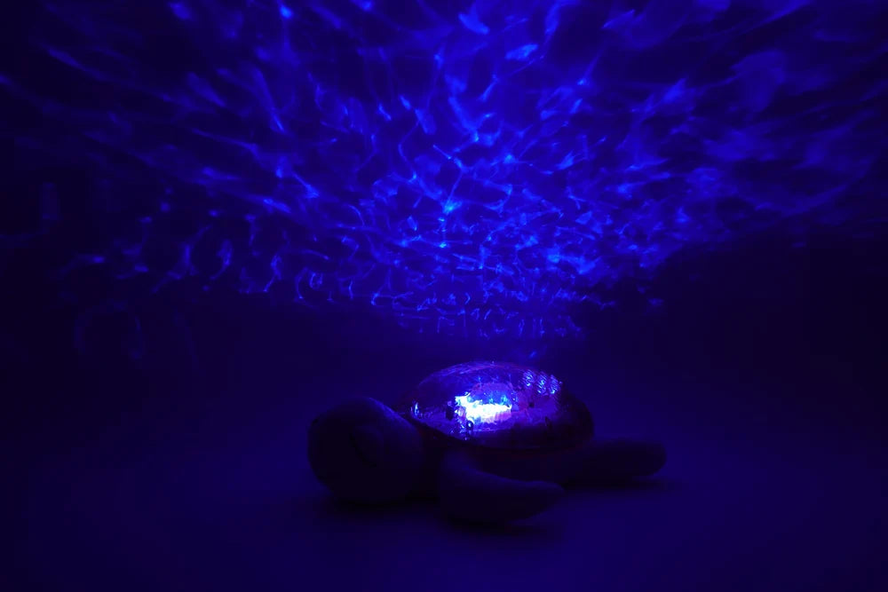 Tranquil Turtle | Pink