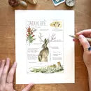 Jackalope Field Note Print