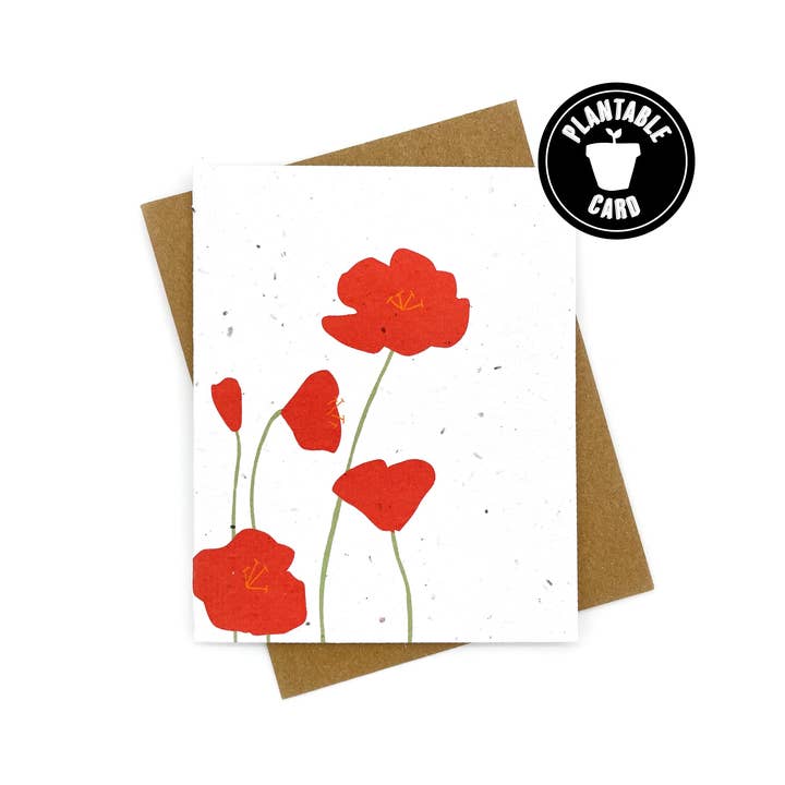Plantable Greeting Cards - Cato & Company
