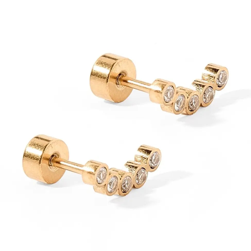 Linny Co Screw Back Stud Earrings