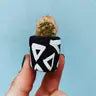 Air Plant + Mini Planter