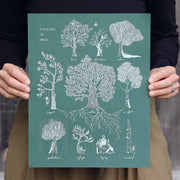 Print - Typology of Trees - As Little Cooking As Possible