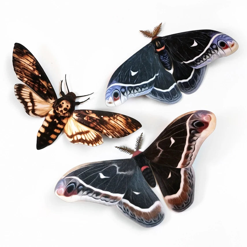 Fine Paper Specimens