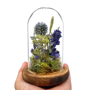 The Little Earth and Sky Terrarium