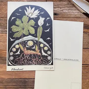 Kat Ryall Postcards - 4x6