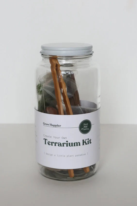 Diy Terrarium | Glass Plant Terrarium Kit