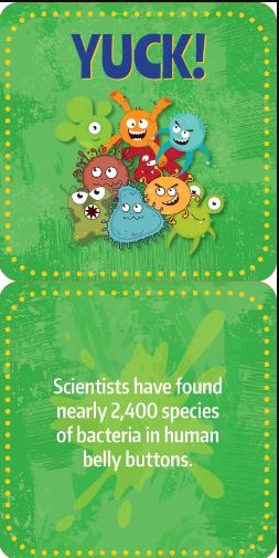 Noteworthy Card Deck Lunch Box Notes Gross Facts by Homeportonline