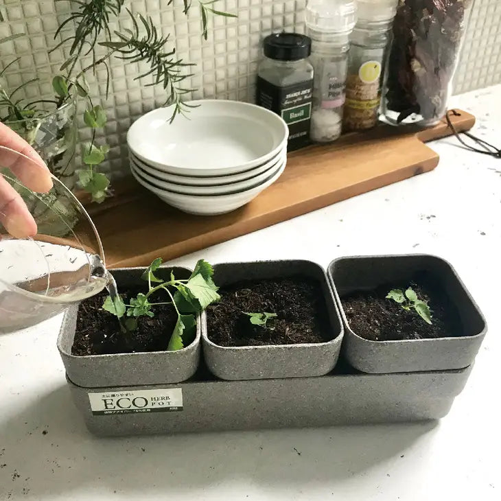 Sustainable Eco Planter Herb Pot with Tray Set of 3, Sand Beige by Wild Lark