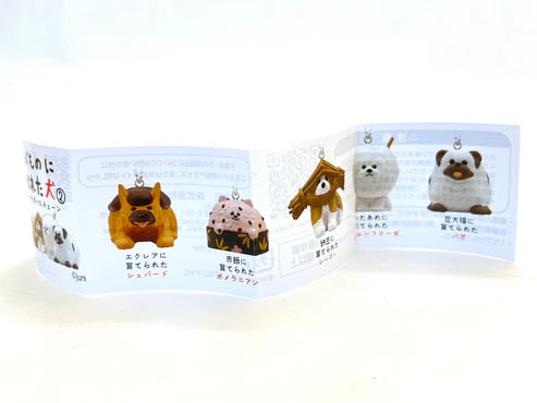 Gashapon Capsule For All Ages Food Dogs (Sold As An Individual Capsule) by Homeportonline