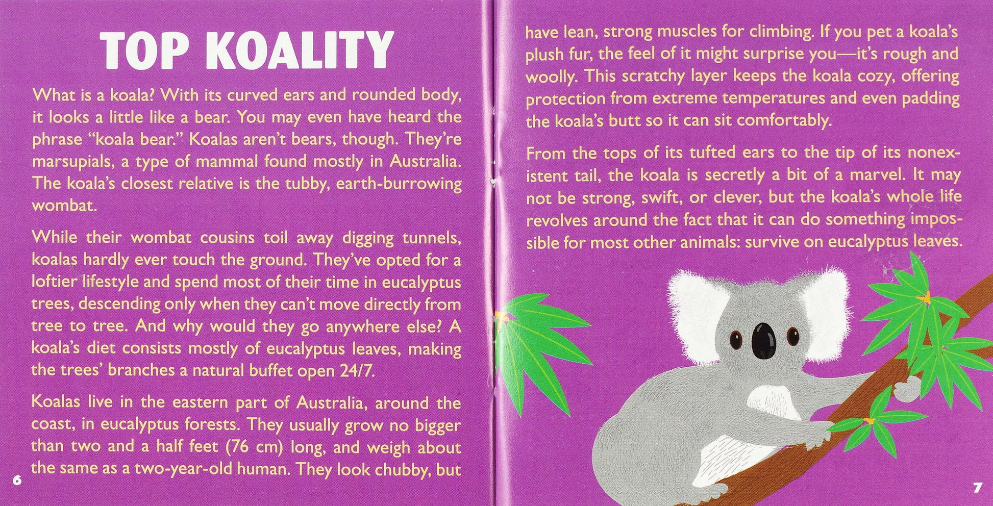 Petites Plush Kit Hug A Koala by Homeportonline