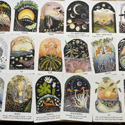 Phases and Forests Oracle Deck