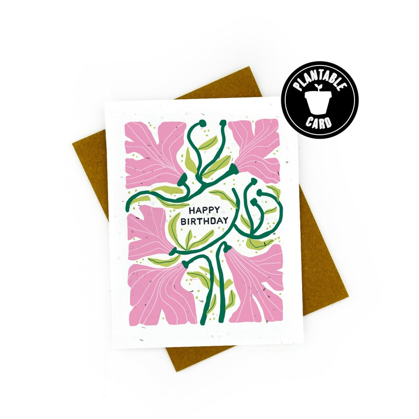 Plantable Greeting Cards - Cato & Company