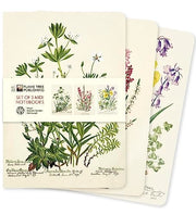 Royal Botanic Garden Edinburgh Set of 3 MIDI Notebooks