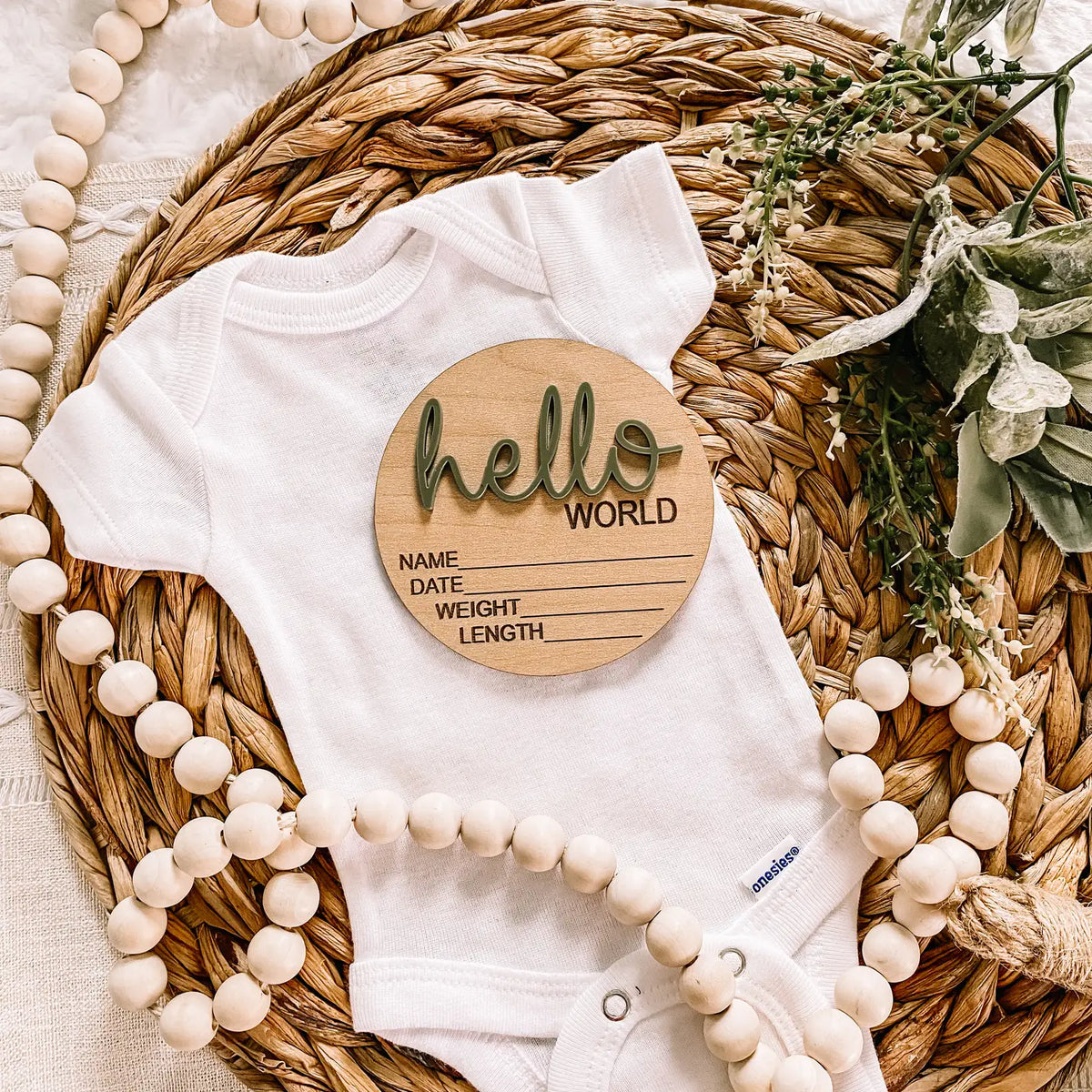 Hello World Birth Announcement Disc