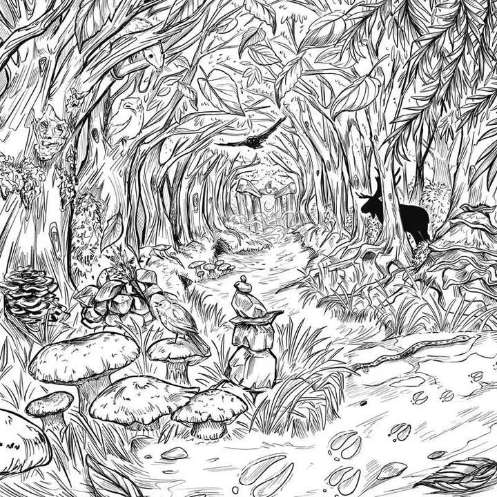 Green Witch's Coloring Book By Arin Murphy-Hiscock