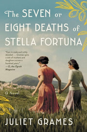 The Seven Or Eight Deaths of Stella Fortuna A Novel