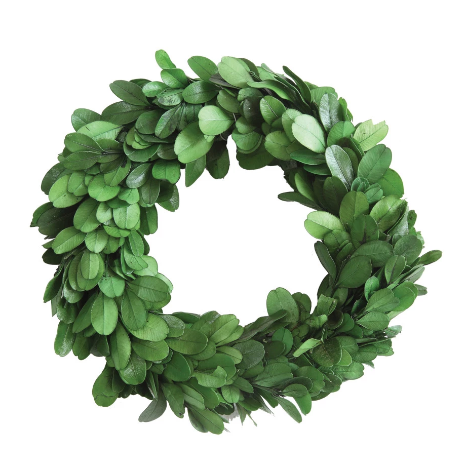 Decorative Boxwood Wreath 6"d by Homeportonline