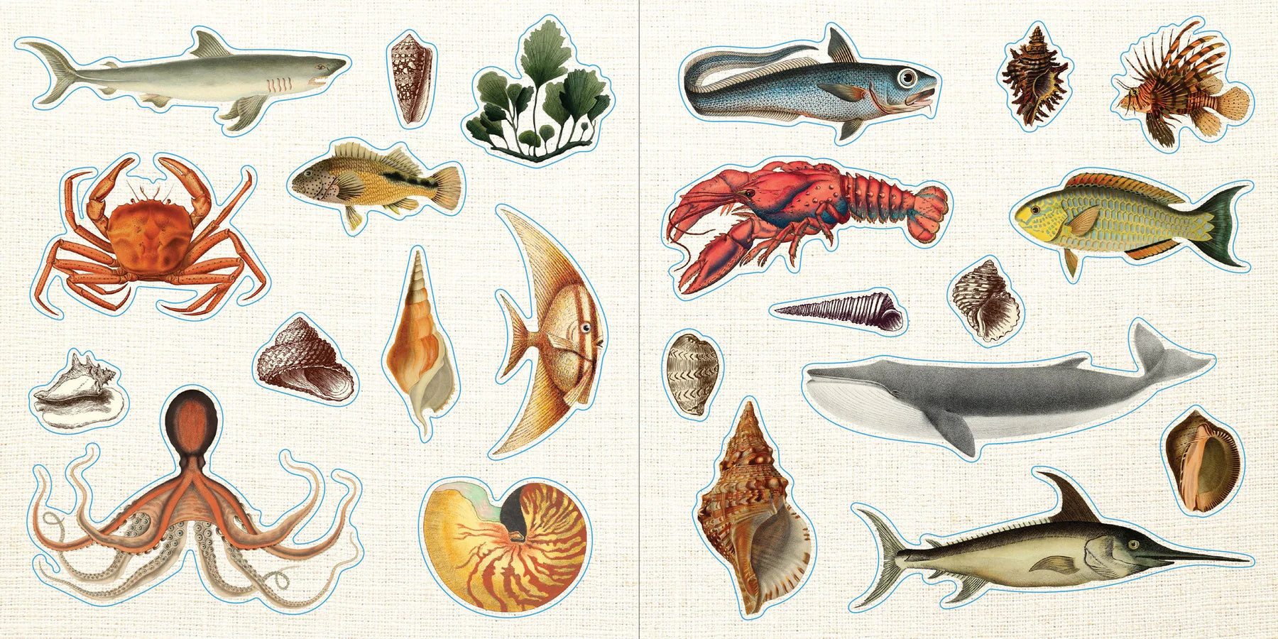 Sticker Book Ephemera! by Homeportonline