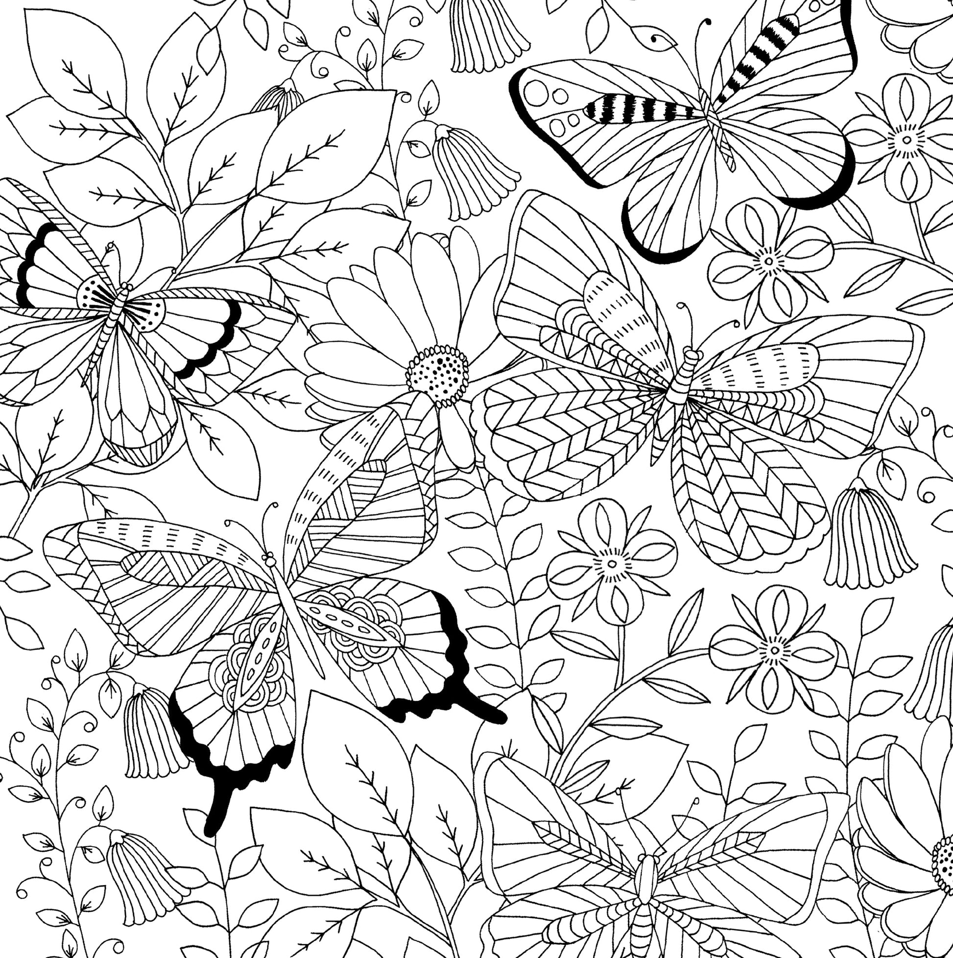 Artist's Adult Coloring Book Follow Your Dreams by Homeportonline